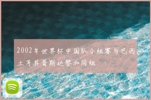 2002年世界杯中国队小组赛与巴西土耳其哥斯达黎加同组