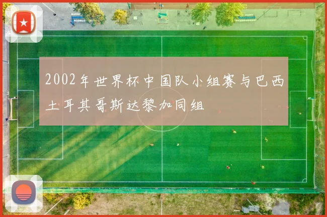 2002年世界杯中国队小组赛与巴西土耳其哥斯达黎加同组