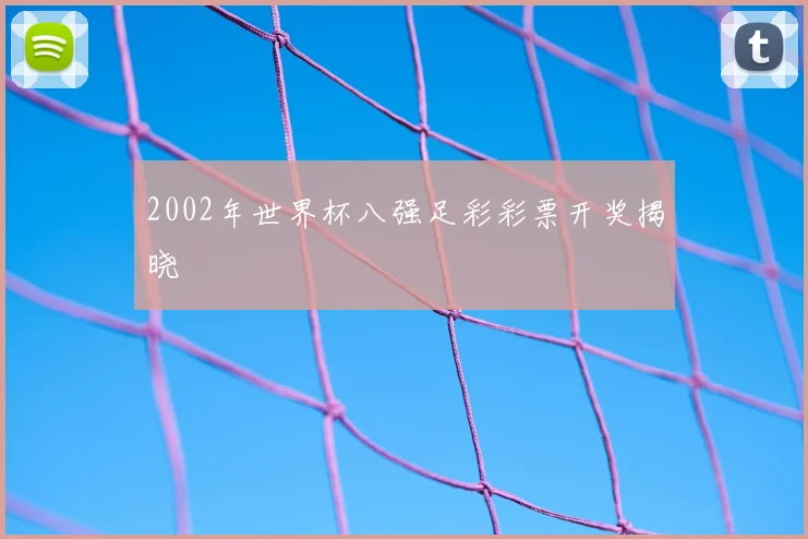 2002年世界杯八强足彩彩票开奖揭晓