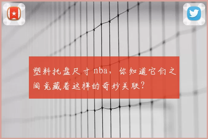 塑料托盘尺寸 nba,你知道它们之间竟藏着这样的奇妙关联?