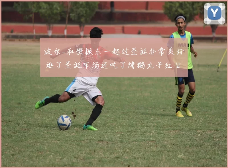 波尔_和樊振东一起过圣诞非常美好 逛了圣诞市场还吃了烤鹅丸子红甘蓝