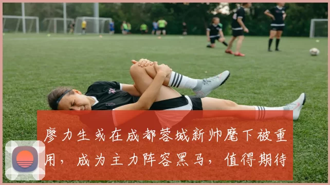 廖力生或在成都蓉城新帅麾下被重用,成为主力阵容黑马,值得期待_约翰·阿洛伊西_天津_本赛季