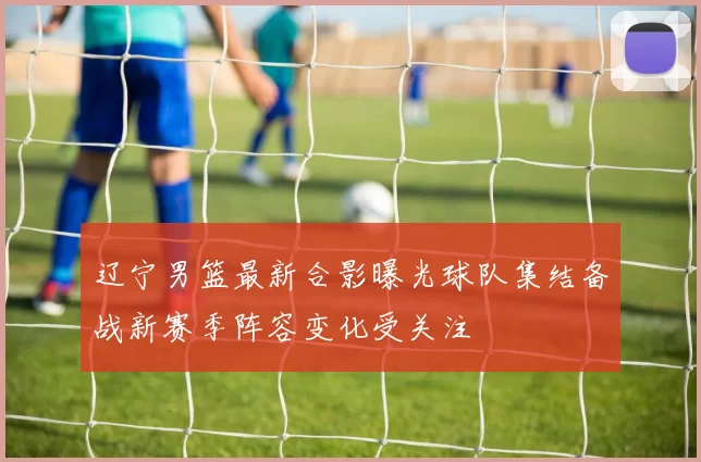 辽宁男篮最新合影曝光球队集结备战新赛季阵容变化受关注